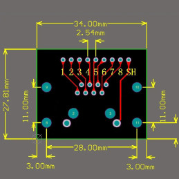 Breakout Board Ethernet avec connecteur RJ45
