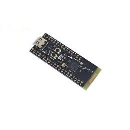 Carte STM32WB55CGU6 BLE-5.4 15.4 Zigbee Thread Matter USB AES-256