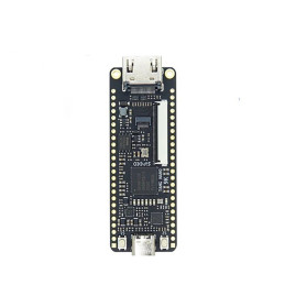 Carte de développement FPGA TANG NANO 9K