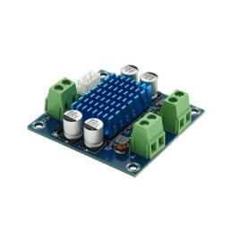 Module XH-A232 TPA3110 amplificateur audio 2 x 15W